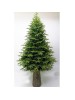 ΔΕΝΔΡΟ MOUNTAIN PINE 210EK ΣΕ FIBER GLASS RESIN ΒΑΣΗ