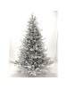 SNOWY NORWAY SPRUCE 150EK